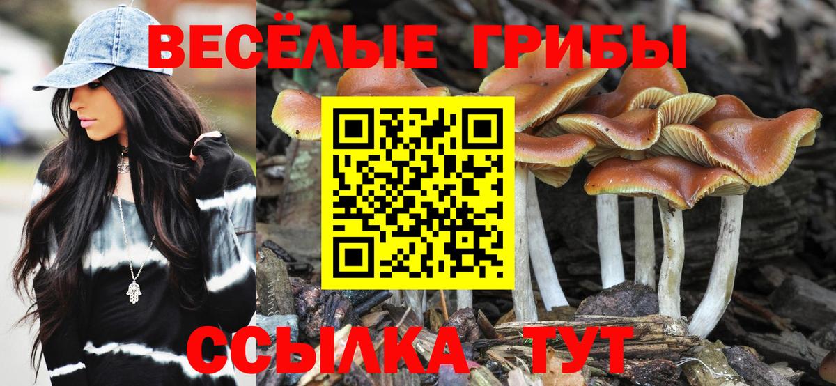 Псилоцибиновые грибы Psilocybine cubensis  Псилоцибиновые грибы Magic Shrooms  цена   Белорецк  Вход с VPN 