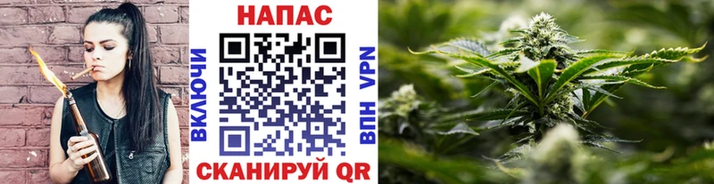 Бошки марихуана марихуана  Белорецк 